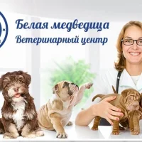 Ветеринарный центр белая медведица на проекте VetSpravka.ru Ветеринарный центр белая медведица на проекте VetSpravka.ru