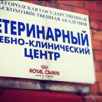Нижегородская государственная сельскохозяйственная академия Фото 1 на проекте VetSpravka.ru Нижегородская государственная сельскохозяйственная академия Фото 1 на проекте VetSpravka.ru