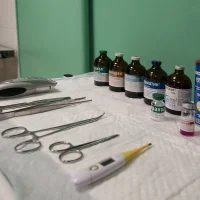 Ветеринарная клиника Друг на улице Павла Мочалова Фото 2 на проекте VetSpravka.ru Ветеринарная клиника Друг на улице Павла Мочалова Фото 2 на проекте VetSpravka.ru