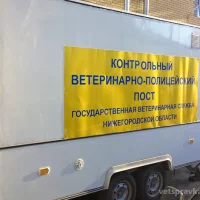 Государственное ветеринарное управление по г. Нижнему Новгороду на проекте VetSpravka.ru Государственное ветеринарное управление по г. Нижнему Новгороду на проекте VetSpravka.ru
