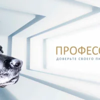 Кинологический центр Dog Planet Фото 4 на проекте VetSpravka.ru Кинологический центр Dog Planet Фото 4 на проекте VetSpravka.ru