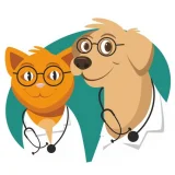 Ветеринарный лечебно-диагностический центр Рыжик Фото 1 на проекте VetSpravka.ru Ветеринарный лечебно-диагностический центр Рыжик Фото 1 на проекте VetSpravka.ru
