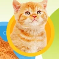 Зоомагазин ЗооСфера на проекте VetSpravka.ru Зоомагазин ЗооСфера на проекте VetSpravka.ru